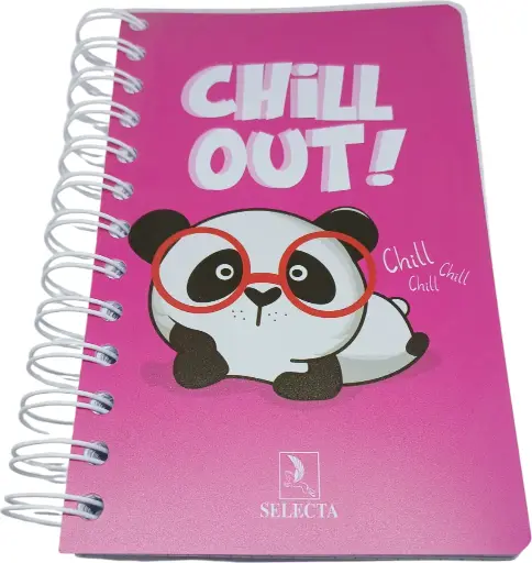 [CA21] Carnet Wireo 300p Seyes 11/17 SELECTA